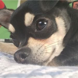 Meet your Posher, Daniela